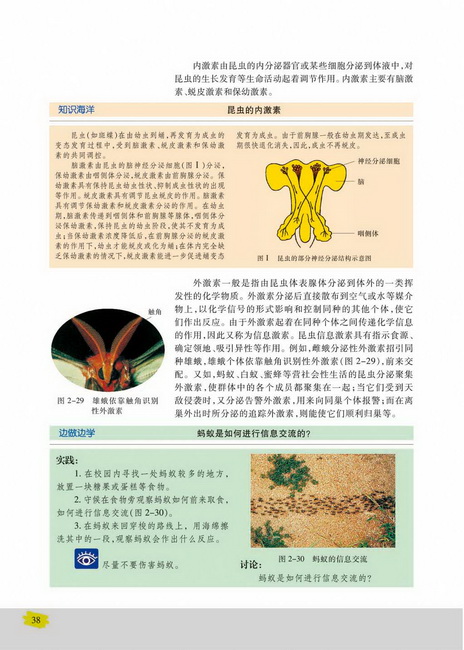 第三节 动物生命活动的调节(第38页)