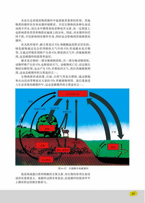 生态系统中的物质循环(第85页)