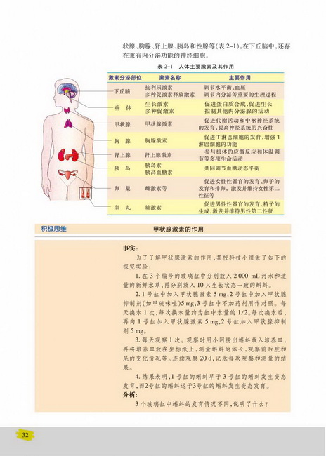 人体的激素调节(第32页)