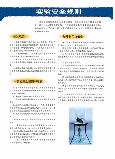 人类可持续发展(第113页)