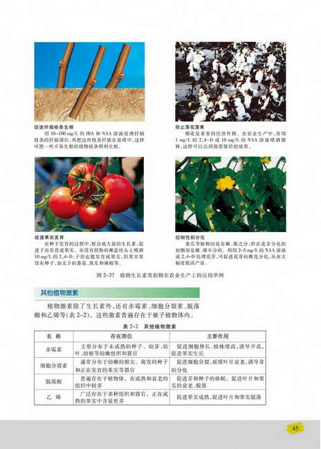 其他植物激素(第45页)