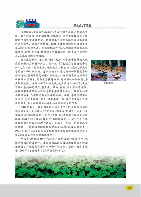 免疫失调引起的疾病(第27页)