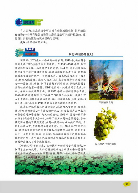 生态系统稳态的维持(第91页)