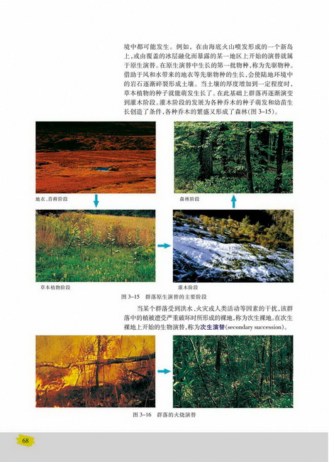 第三节 生物群落的演替(第68页)