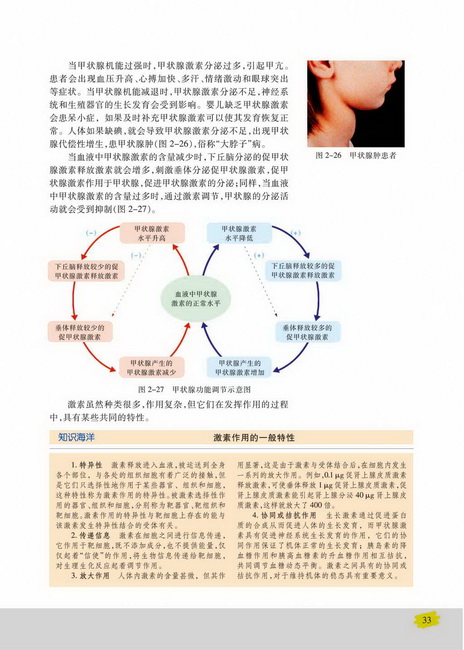 人体的激素调节(第33页)