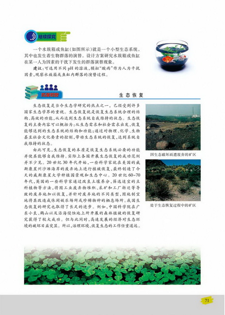 群落演替的影响因素(第71页)