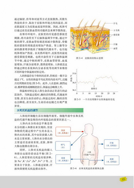 水和无机盐的调节(第15页)