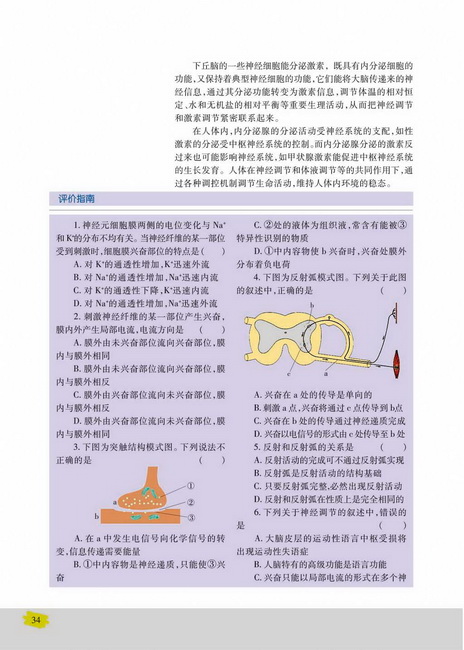 人体的激素调节(第34页)