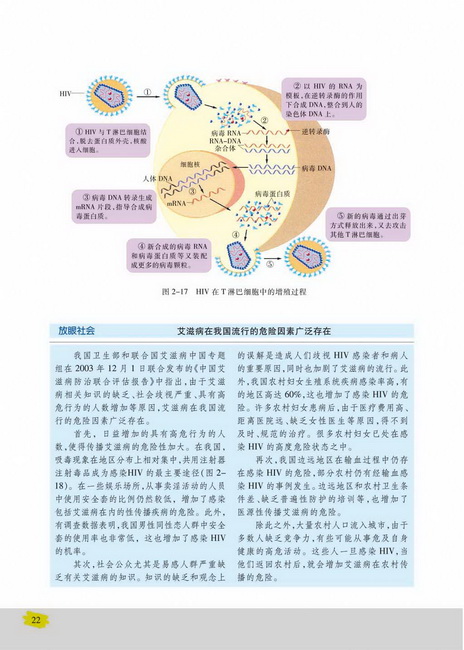 免疫失调引起的疾病(第22页)