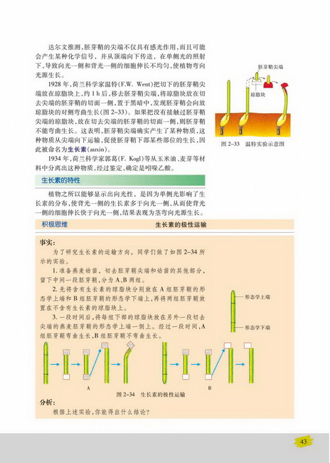 生长素的特性(第43页)