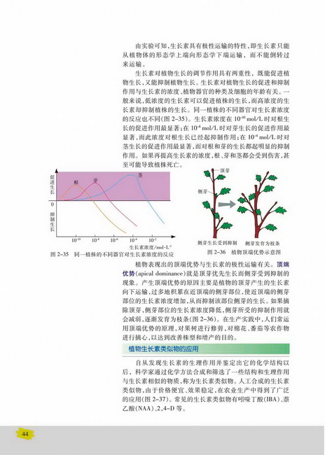 植物生长素类似物的应用(第44页)