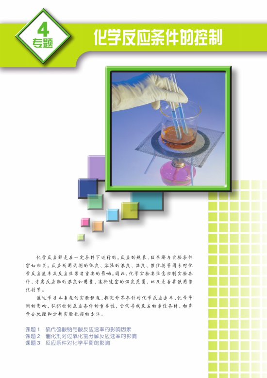 专题四 化学反应条件的控制(第43页)