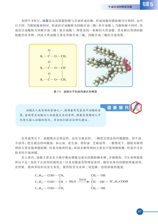 第一单元 糖类 油脂(第97页)