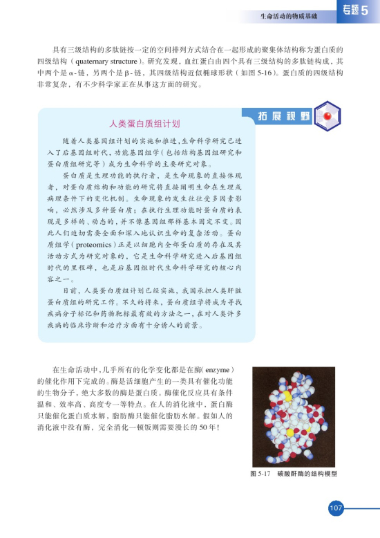 第二单元 氨基酸 蛋白(第107页)