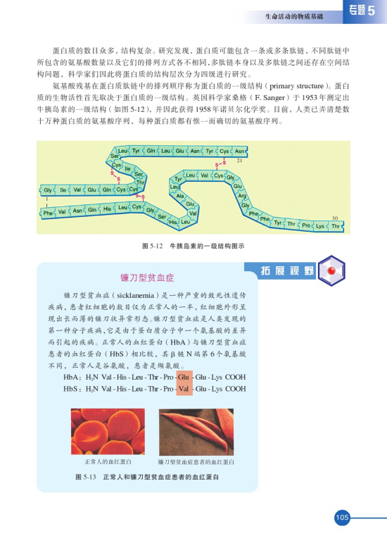 第二单元 氨基酸 蛋白(第105页)
