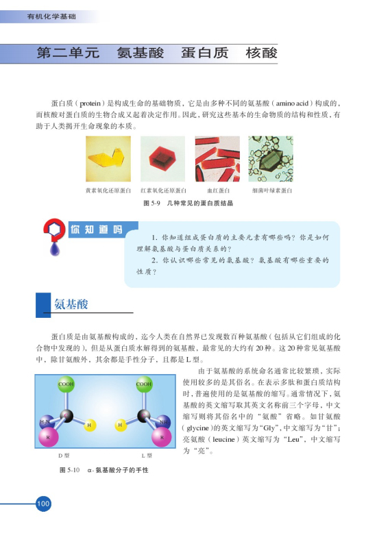 第二单元 氨基酸 蛋白(第100页)