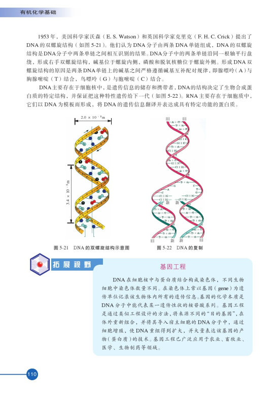 第二单元 氨基酸 蛋白(第110页)