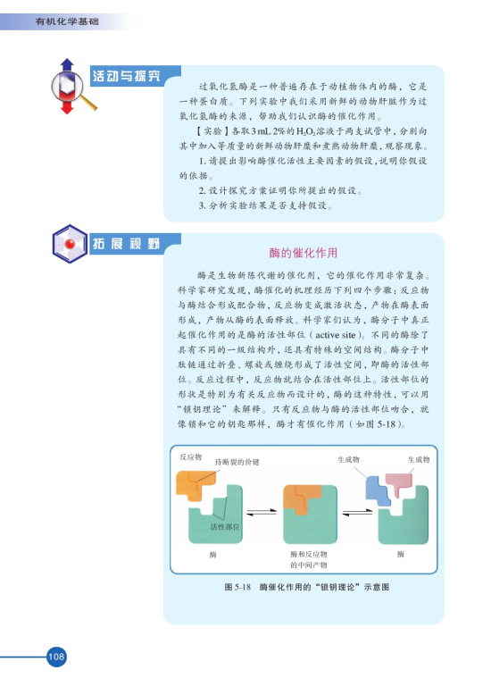 第二单元 氨基酸 蛋白(第108页)