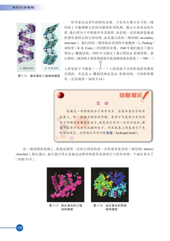 第二单元 氨基酸 蛋白(第106页)