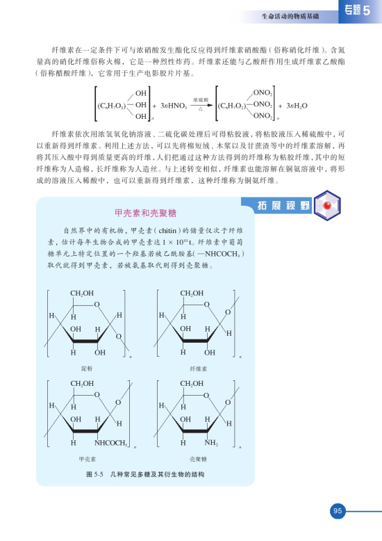 第一单元 糖类 油脂(第95页)