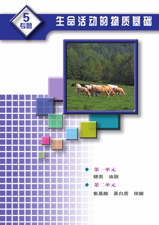 专题5 生命活动的物质基础(第89页)