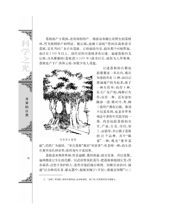 南州六月荔枝丹(第18页)