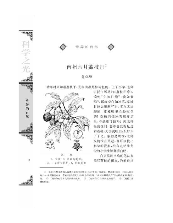 南州六月荔枝丹(第14页)