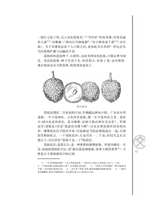 南州六月荔枝丹(第17页)