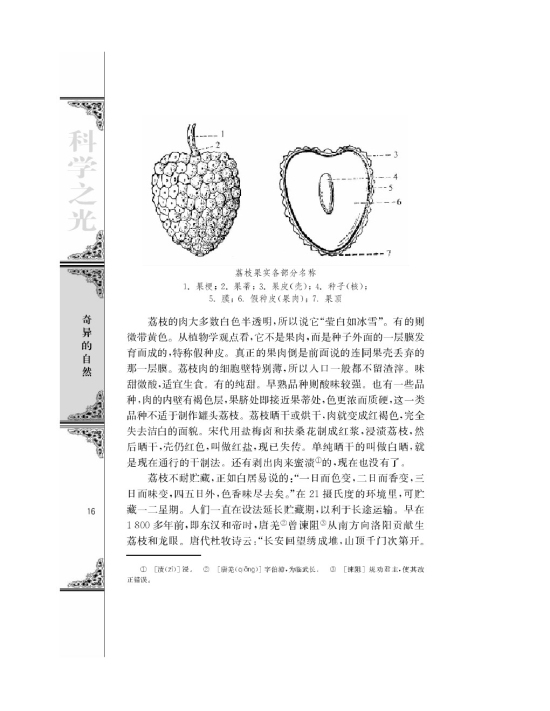 南州六月荔枝丹(第16页)