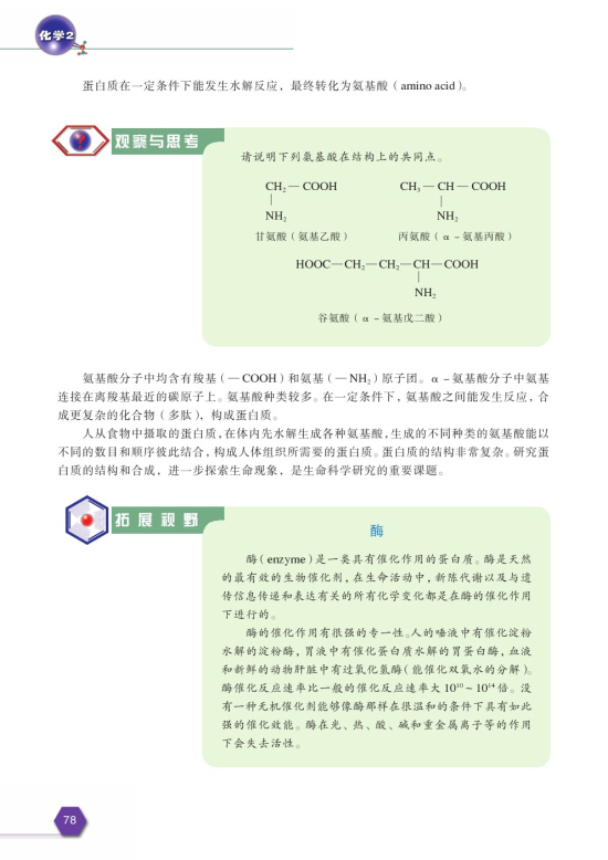 第二单元 食品中的有机化合物(第78页)