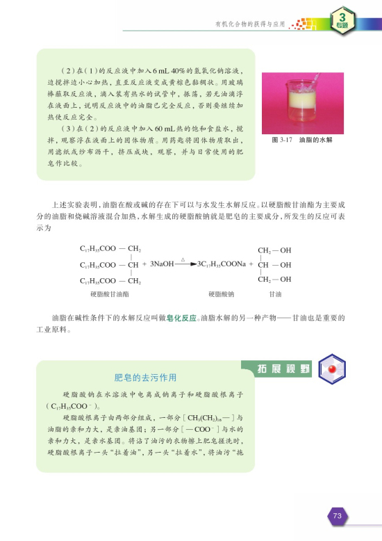 第二单元 食品中的有机化合物(第73页)