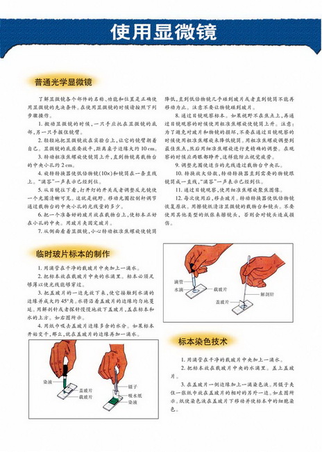我国的癌症防治(第107页)