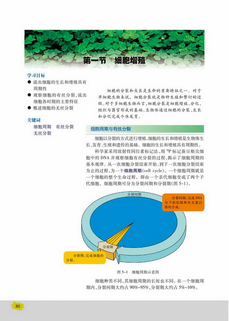 细胞周期与有丝分裂(第80页)