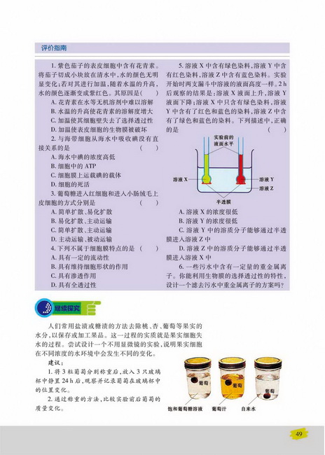 主动运输(第49页)