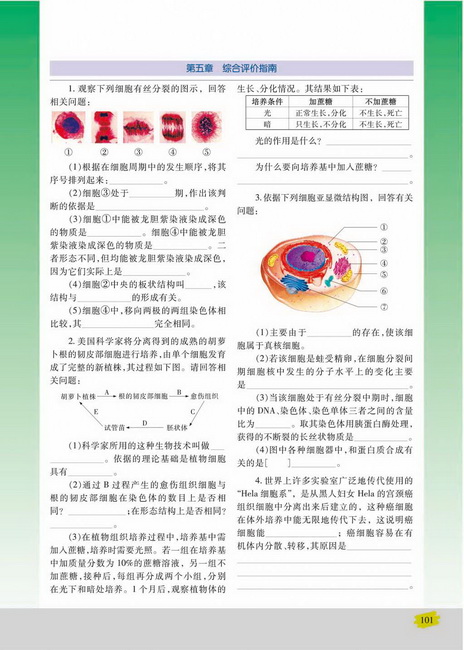 我国的癌症防治(第101页)