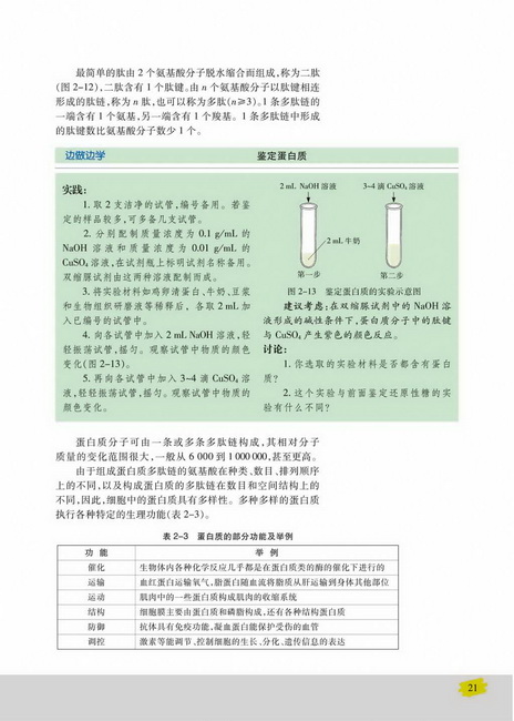 蛋白质的结构和功能(第21页)