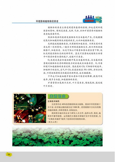 细胞衰老和凋亡(第94页)