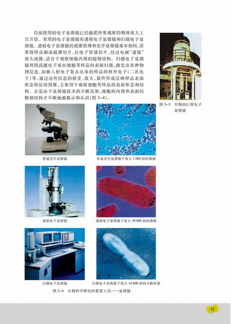 生物科学研究的重要工具――显微镜(第31页)