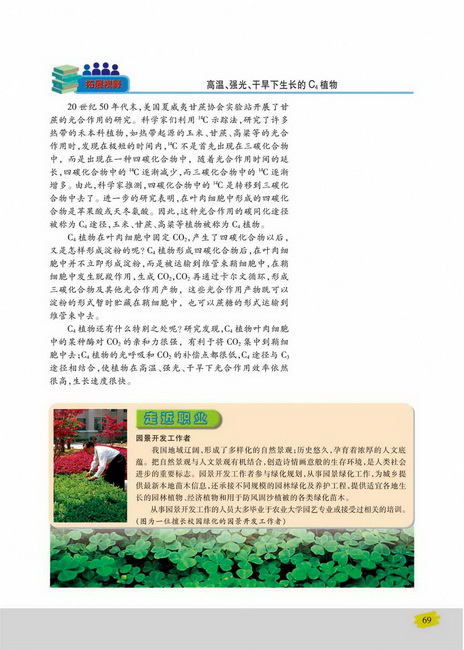 影响光合作用的环境因素(第69页)