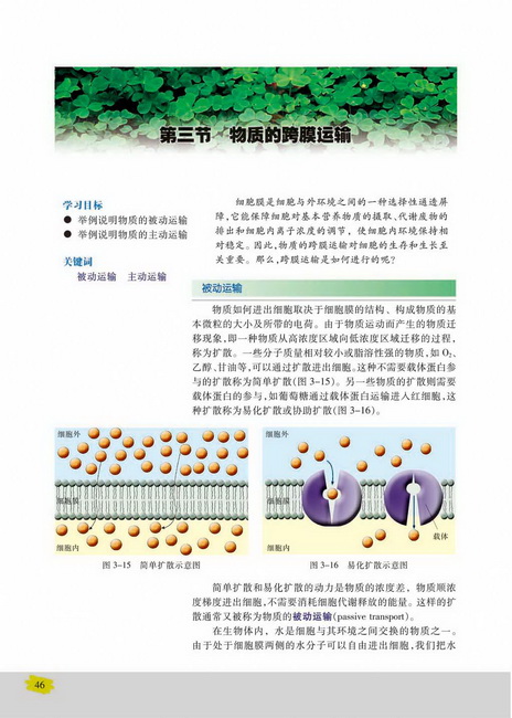 被动运输(第46页)