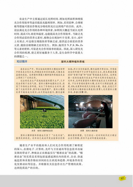 影响光合作用的环境因素(第67页)