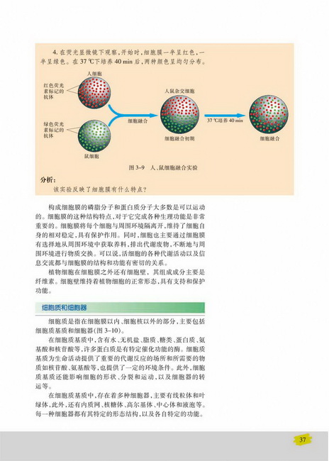 细胞质和细胞器(第37页)