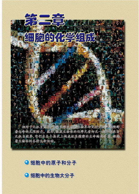 第二章 细胞的化学组成(第11页)