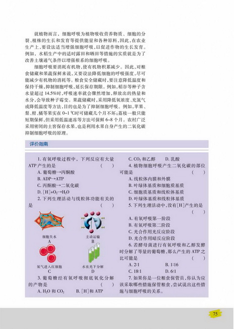 细胞呼吸原理的应用(第75页)