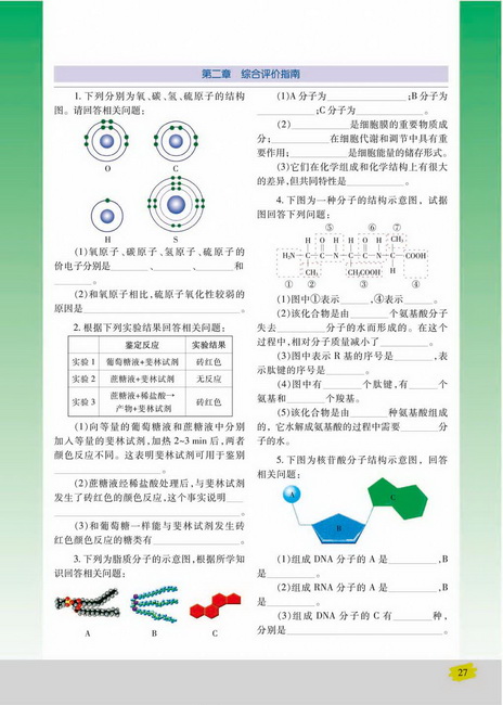 核酸的结构和功能(第27页)