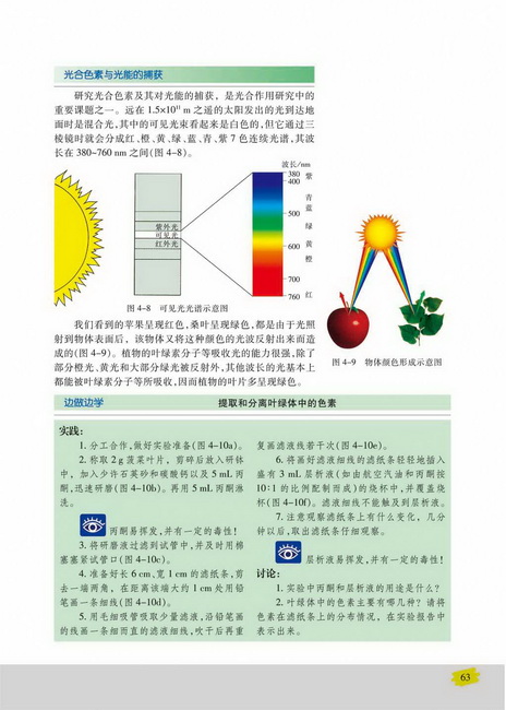 光合色素与光能量的捕获(第63页)