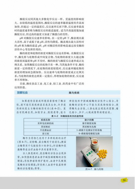 酶与酶促反应(第59页)
