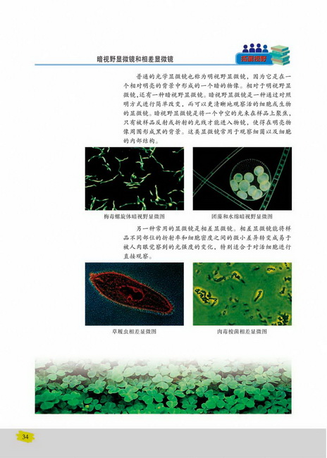 细胞的大小和形态(第34页)