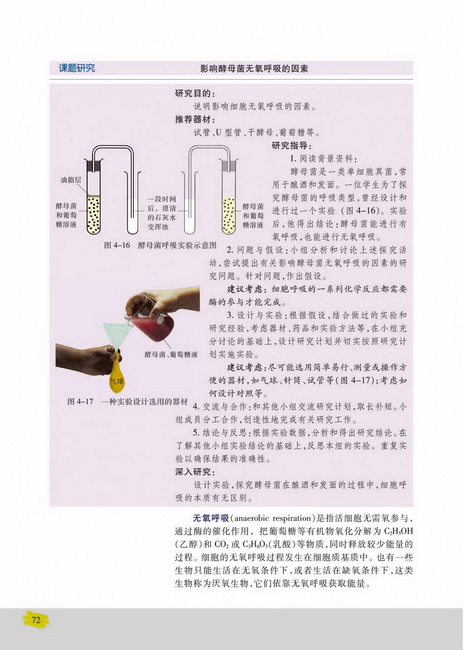 细胞呼吸的过程(第72页)