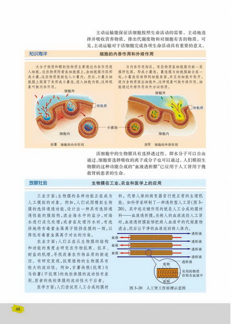 主动运输(第48页)